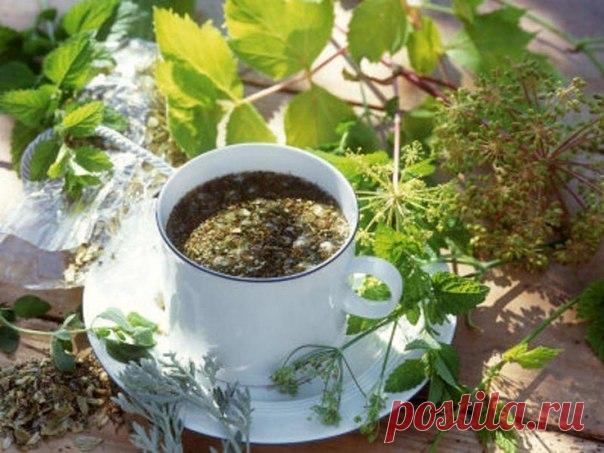 Целебные растения, из которых можно приготовить лечебные чаи - Фитхакер