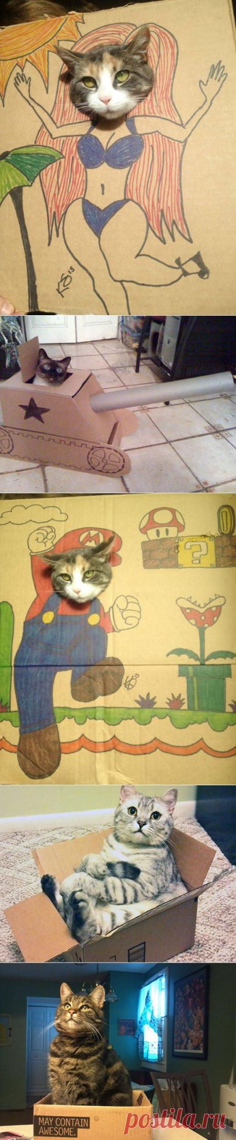 Cats vs. Cardboard Boxes (15 Photos)