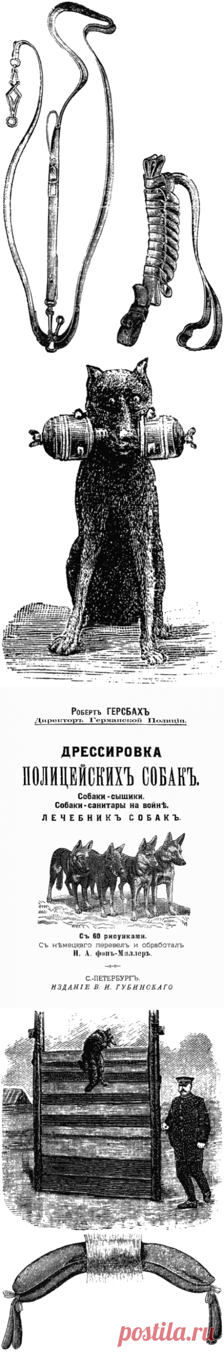 Книга: Дрессировка полицейских собак