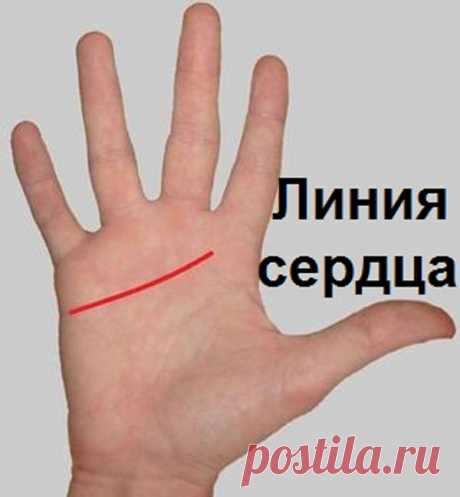 Этот пост позволит вам погадать по руке самостоятельно! | KaifZona.Ru