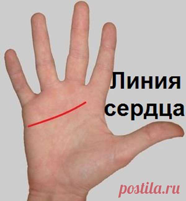 Этот пост позволит вам погадать по руке самостоятельно! | KaifZona.Ru