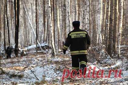 Пилот упавшего под Мурманском вертолета раскрыл детали крушения. Управлявший упавшим под Мурманском вертолетом Ми-8 пилот Павел Шитиков заявил, что техника попала в снежный заряд. Об этом он сообщил в разговоре с главой Вологодской области Олегом Кувшинниковым. Вертолет уже заходил на посадочную площадку, когда попал в сложные погодные условия.