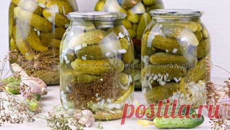 🥒Кисло-сладкие маринованные корнишоны с горчицей! Рецепт без стерилизации для всех любителей огурцов из магазина! | Дина, Коллекция Рецептов | Дзен
