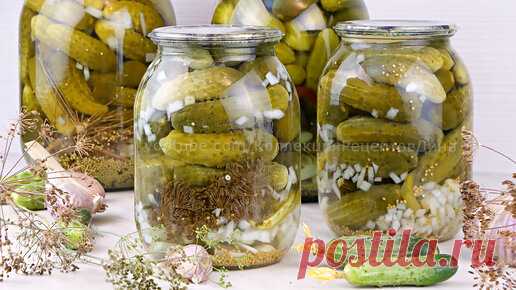🥒Кисло-сладкие маринованные корнишоны с горчицей! Рецепт без стерилизации для всех любителей огурцов из магазина! | Дина, Коллекция Рецептов | Дзен