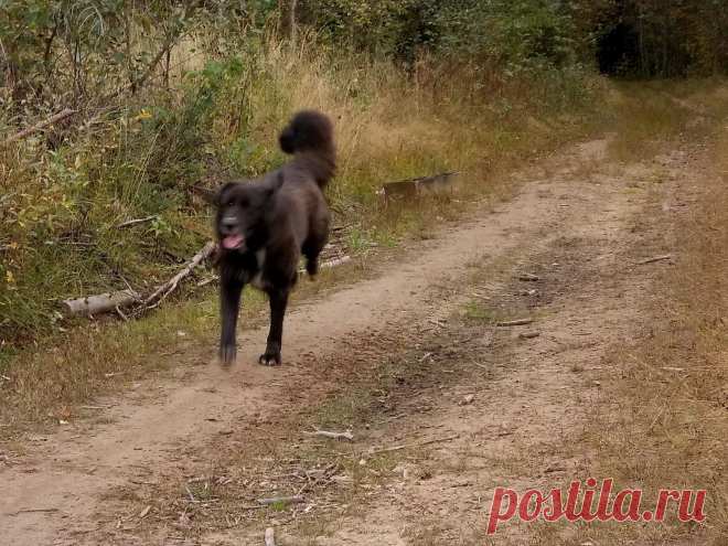 Летаем по дороге.