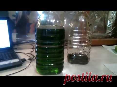 Абсент. Делаем сами. - Видео от 1clip.cf Интересное видео от сайта 1Clip.cf