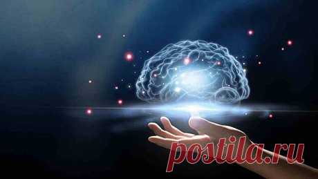 Невролог назвал главные правила для улучшения памяти