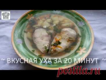 Вкусная Уха за 20 минут пошаговый рецепт.