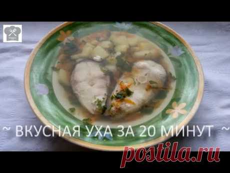 Вкусная Уха за 20 минут пошаговый рецепт.
