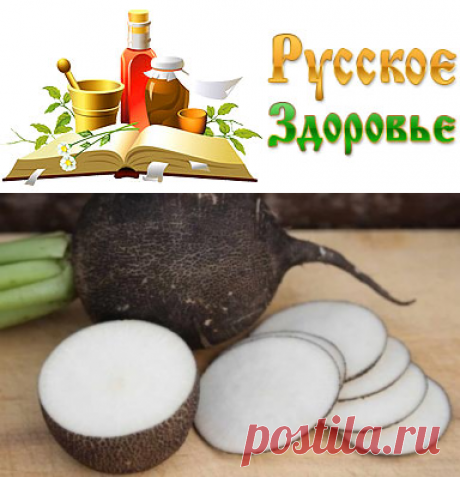 Что лечит сок черной редьки?