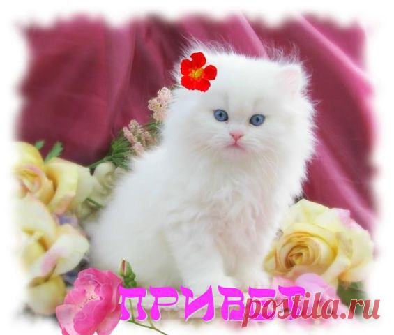 ♥ Красивые и счастливые ♥