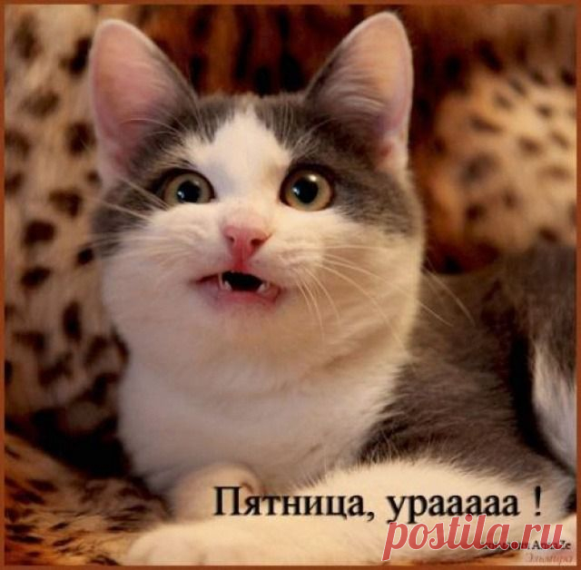 Мой Мир@Mail.Ru