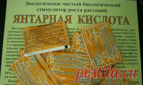 Янтарная кислота для растений: свойства и применение - LadySpecial.ru