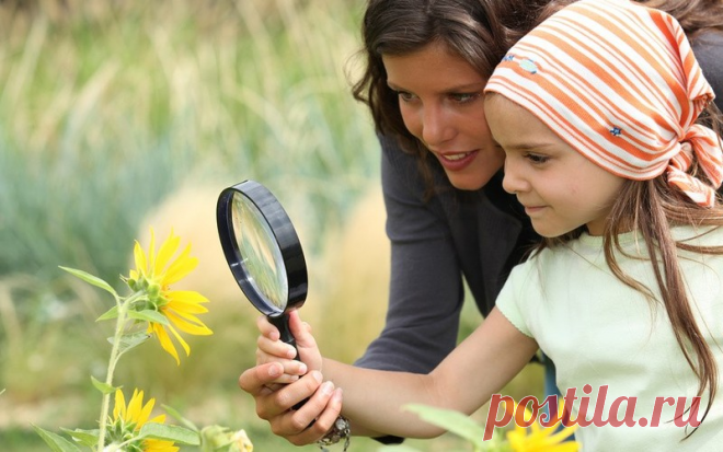 Что делать, если ребенка укусил клещ - Статьи - Семья - Дети Mail.Ru