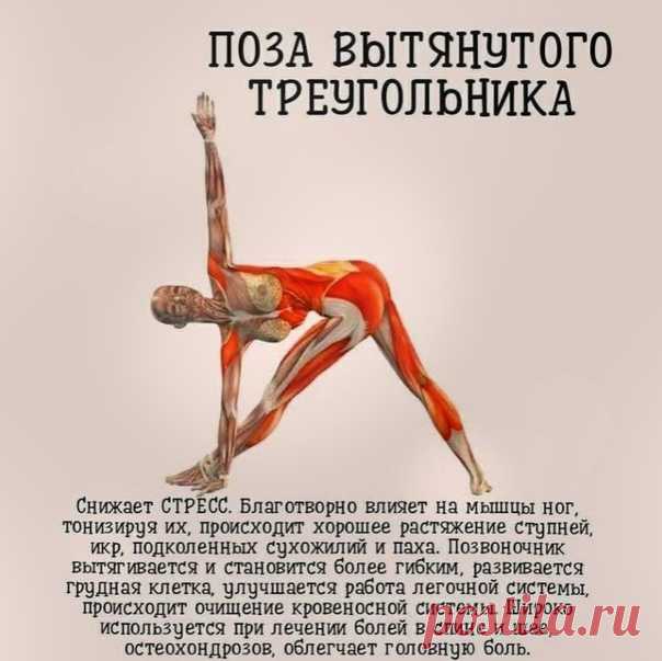 Πpocтaя йoгa для вaшeгo здopoвья
