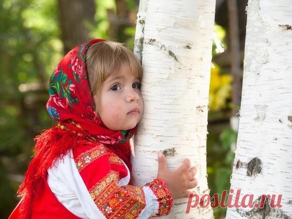 ДЕРЕВЬЯ СПАСАЮТ ОТ ГОЛОДА И ГОЛОВНЫХ БОЛЕЙ... - ЗЕЛЁНАЯ СИЛА МАКОШИ - Группы Мой Мир