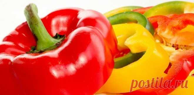 Agronomės patarimai norintiems užsiauginti paprikas