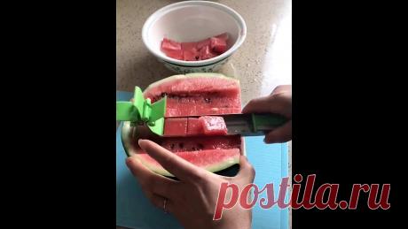 Essential items of every family