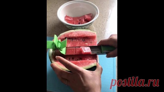 Essential items of every family