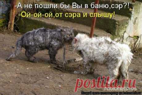 Тихий ужас