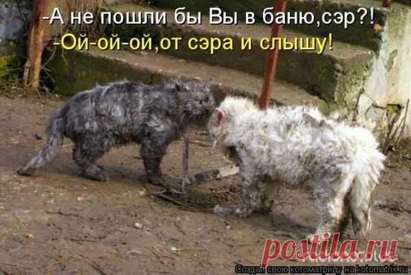 Тихий ужас