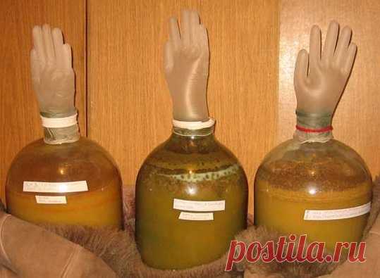 Домашний сидр – рецепт и технология приготовления из яблок