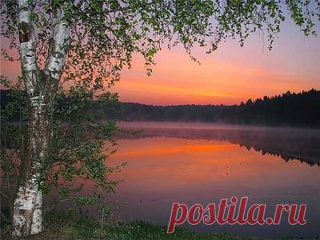 МЫ | Клуб интеллектуалов