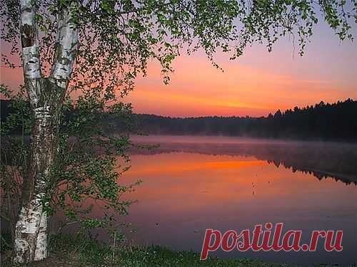 МЫ | Клуб интеллектуалов