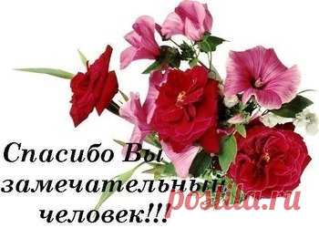 Открытки спасибо за ... дружбу, доброе сердце, поздравления - cтраница 7