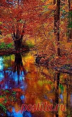 легенда о дереве