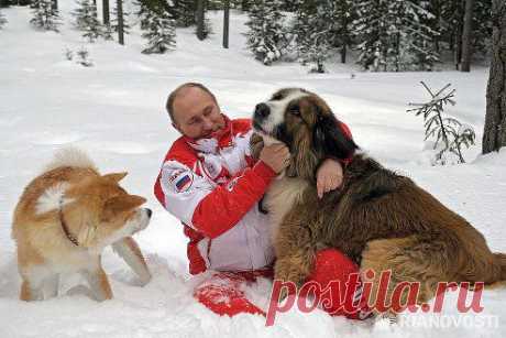 ЭТО САМЫЙ ЛУЧШИЙ ПРЕЗИДЕНТ В МИРЕ.