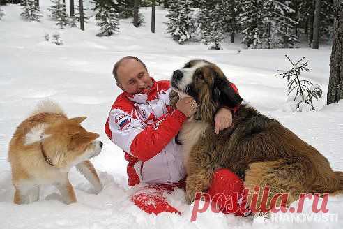 ЭТО САМЫЙ ЛУЧШИЙ ПРЕЗИДЕНТ В МИРЕ.