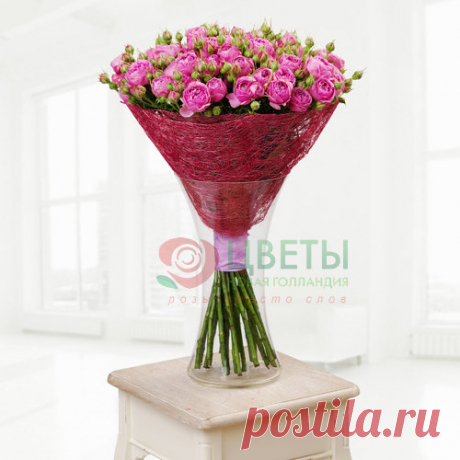 25 Пионовидных роз - «Новая Голландия»