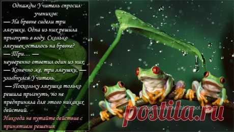 Не путайте действия с принятием решения!