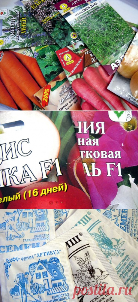 Как избежать ошибок при выборе семян — 6 соток