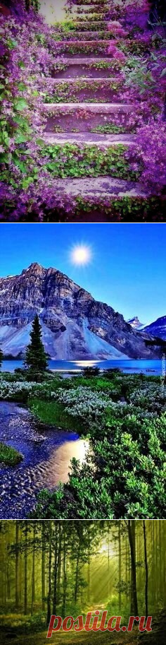 Секреты красоты. ПРОДЛЕНИЕ МОЛОДОСТИ. РЕЦЕПТ ГРАФА СЕН-ЖЕРМЕНА.