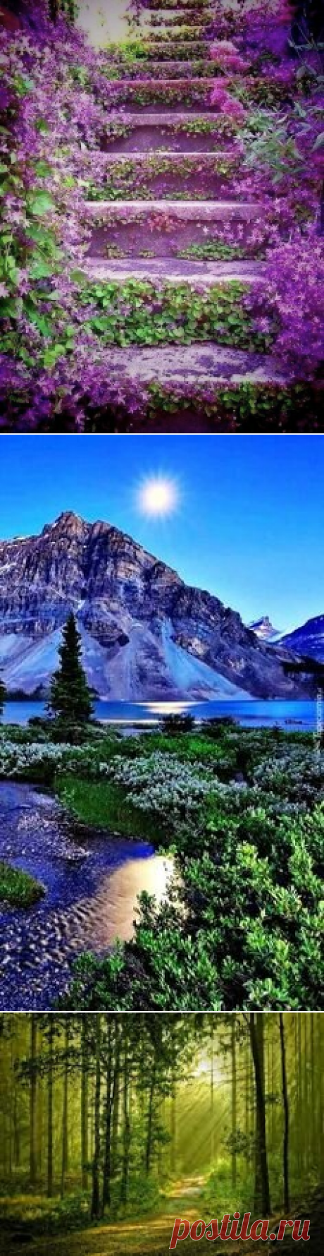 Секреты красоты. ПРОДЛЕНИЕ МОЛОДОСТИ. РЕЦЕПТ ГРАФА СЕН-ЖЕРМЕНА.