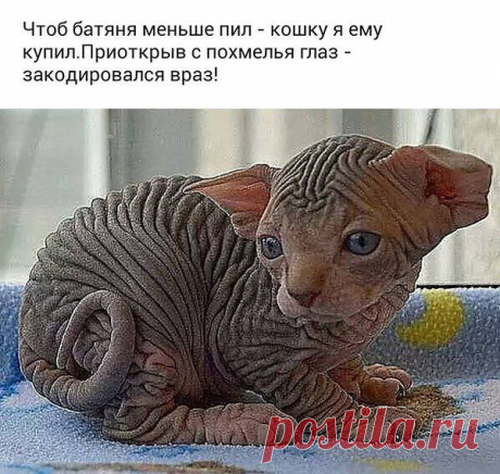 Интересные новости