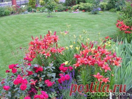 САД "СКАЗКА | Самоцветик