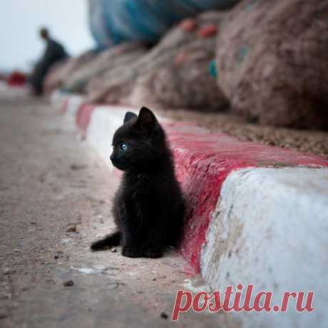 Мой Мир@Mail.Ru