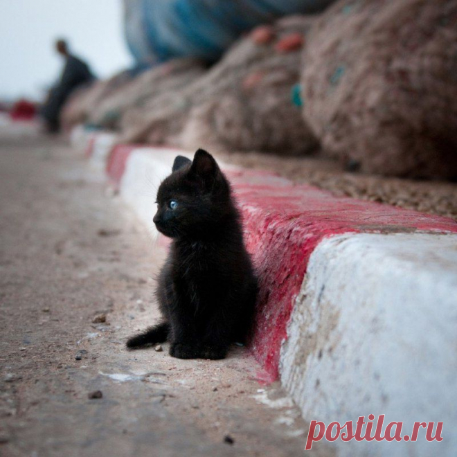Мой Мир@Mail.Ru