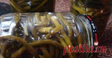 Полезное применение чесночных стрелок
Я, как и большинство дачников, ежегодно выращиваю на своем участке 
озимый чеснок, который во второй половине июня начинает выбрасывать 
стрелки. Как известно, для получения более крупных головок их необходимо
своевременно удалять, ведь они забирают у растения около 30-40%
питательных веществ. 
Процедуру эту проводит каждый опытный дачник, но
далеко не каждый знает, как с пользой можно использовать срезанные
стрелки чеснока. Конечно, можно пополнить ими ко