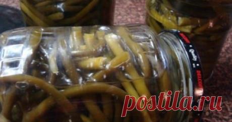 Полезное применение чесночных стрелок
Я, как и большинство дачников, ежегодно выращиваю на своем участке 
озимый чеснок, который во второй половине июня начинает выбрасывать 
стрелки. Как известно, для получения более крупных головок их необходимо
своевременно удалять, ведь они забирают у растения около 30-40%
питательных веществ. 
Процедуру эту проводит каждый опытный дачник, но
далеко не каждый знает, как с пользой можно использовать срезанные
стрелки чеснока. Конечно, можно пополнить ими ко