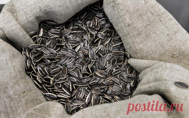 Минсельхоз предложил временно запретить экспорт семян подсолнечника. Ведомство предлагает запретить до конца августа вывоз семян рапса и подсолнечника, а также ввести квоты на экспорт подсолнечного масла и шрота. Мера направлена на исключение дефицита и повышения цен на продукцию в России