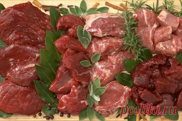 Почему мясо — вредный продукт / Будьте здоровы
