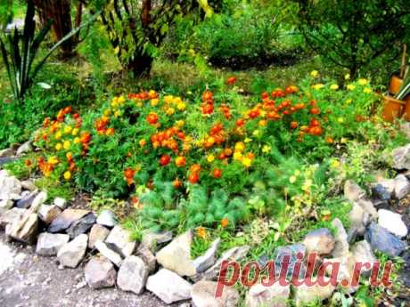 Декоративные заборы и ограждения вокруг клумб - Идеальная хозяйка