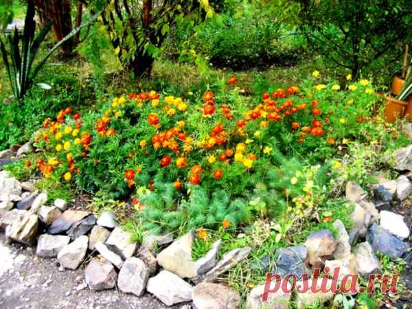 Декоративные заборы и ограждения вокруг клумб - Идеальная хозяйка