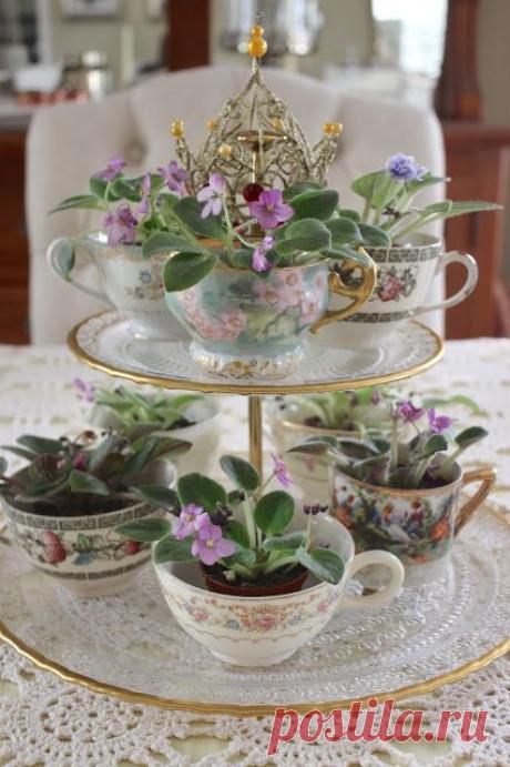 After seeing the cover of the new Best of Country Gardens Magazine, I got inspired to make an arrangement with ~Teacups & African...