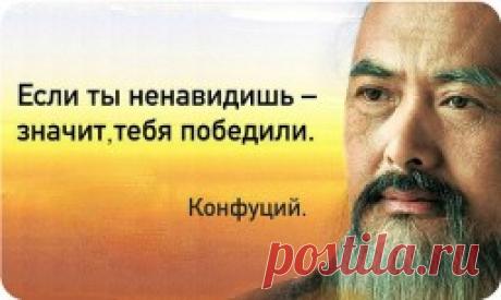 К ненависти нужно относиться как к подарку — Интересные факты