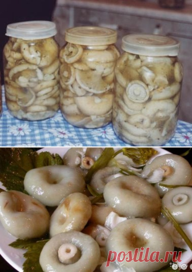 (10) Одноклассники